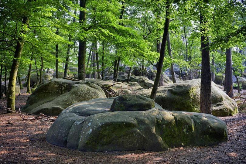 Maison De Charme En Foret De Fontainebleau Recloses Eksteriør billede